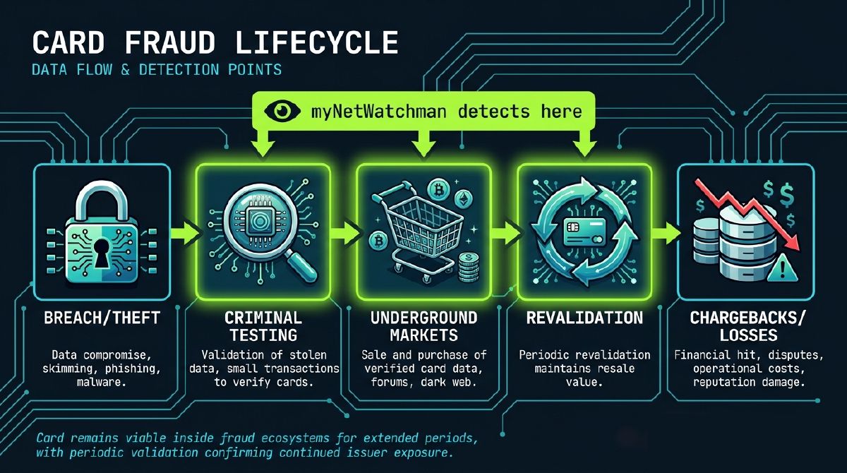 Card fraud lifecycle diagram showing myNetWatchman's intervention at the testing stage